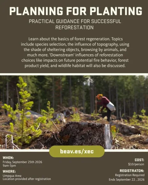 Planning for Planting: Practical Guidance for Successful Reforestation